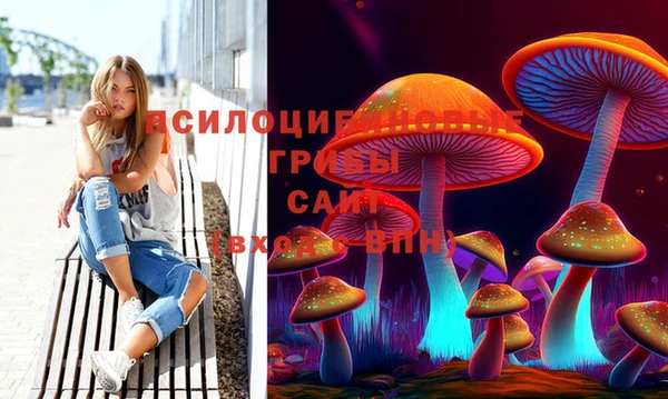 прущие крисы Киренск
