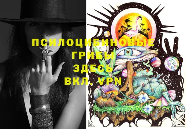 прущие крисы Киренск