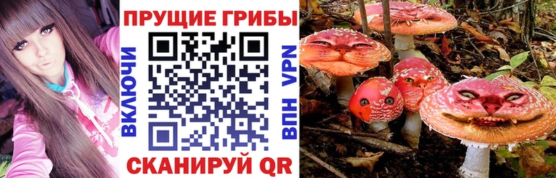 Купить  Урень  Псилоцибиновые грибы мухоморы 